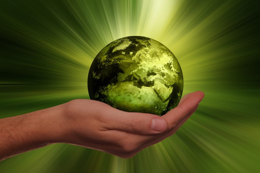 Sustainable Real Estate: How Eco-Friendly Features Affect Property Values